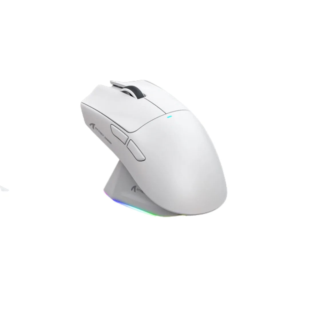 Mice
